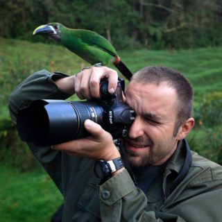 Wildlife Photography