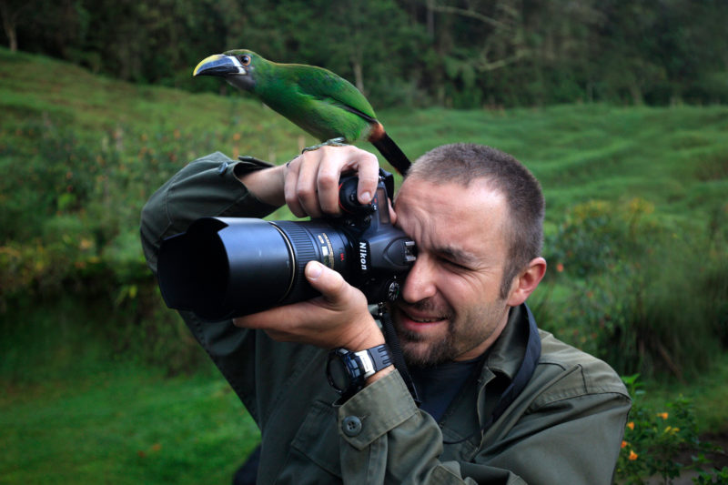 Wildlife Photography