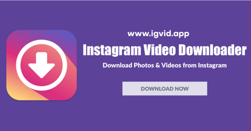 Pro Instagram Download