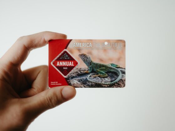 Photo jupiter rupay credit card