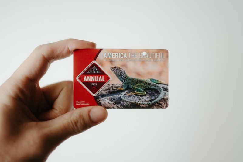 Photo jupiter rupay credit card