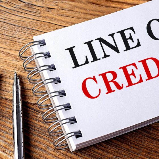 New Business Line of Credit