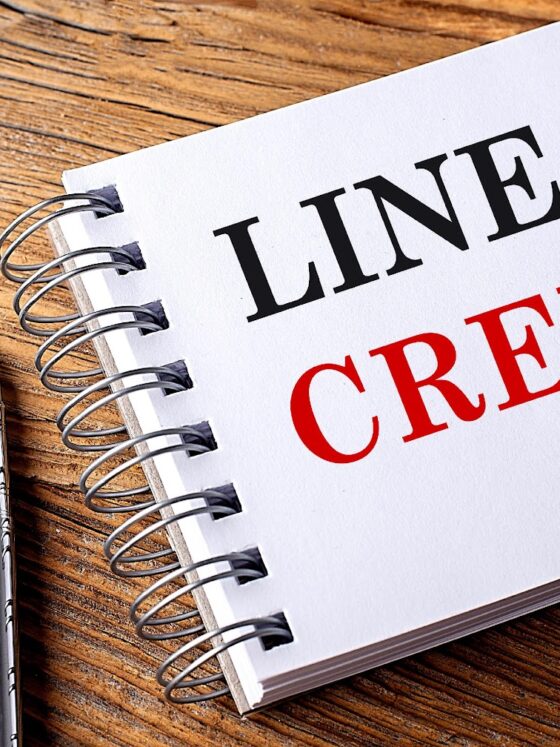 New Business Line of Credit